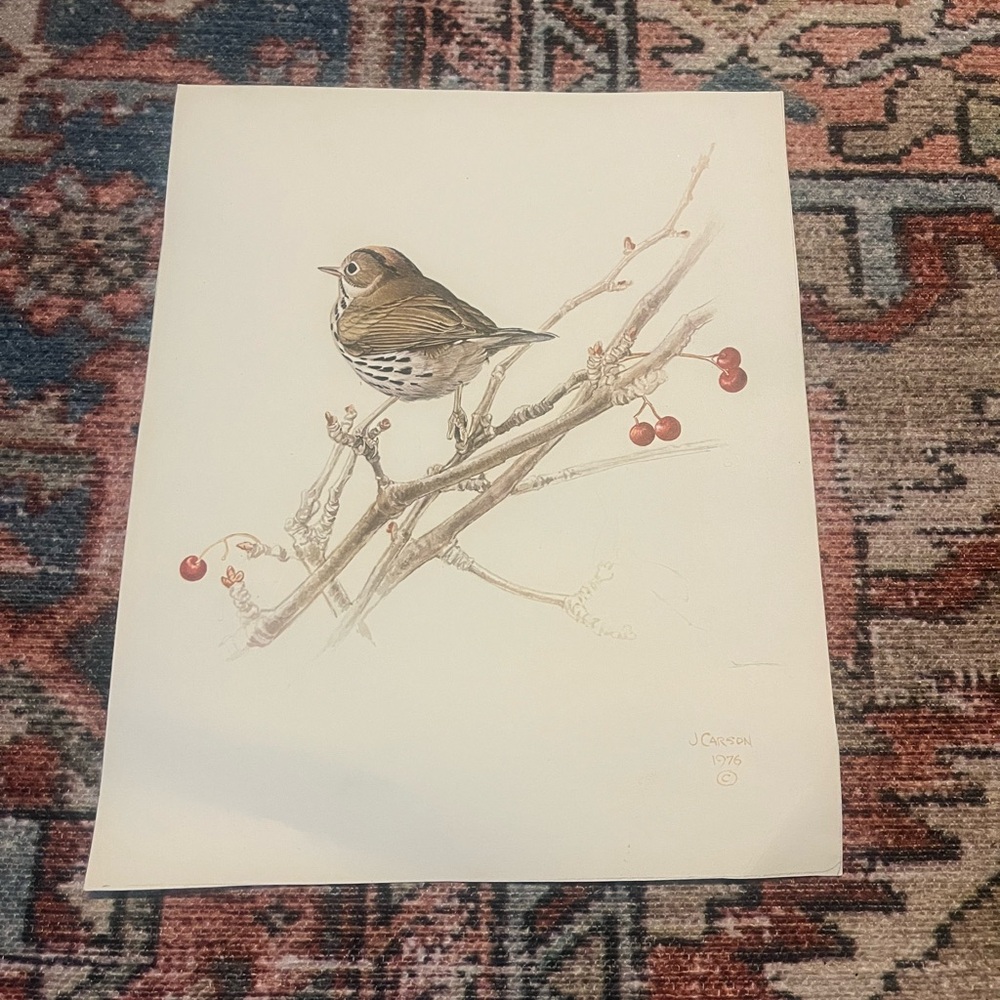 Bird Art Print with Brown and Red Accents